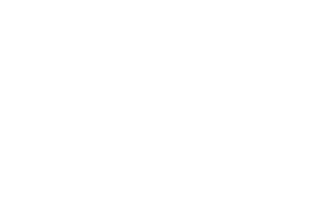 DominIA Smart Solutions
